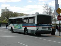 CTA MAN Americana